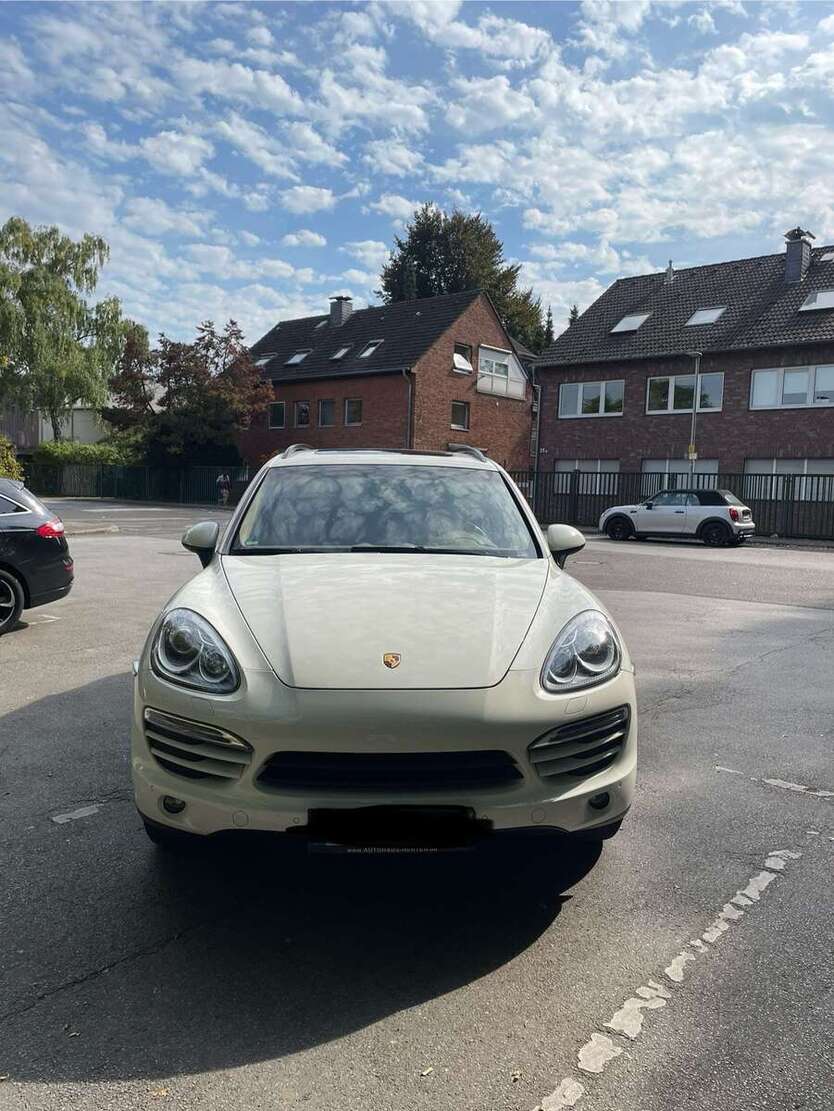 Cayenne