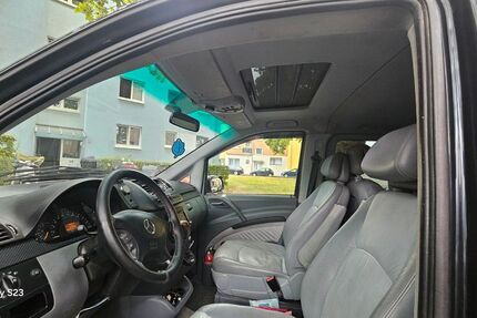 Mercedes Viano