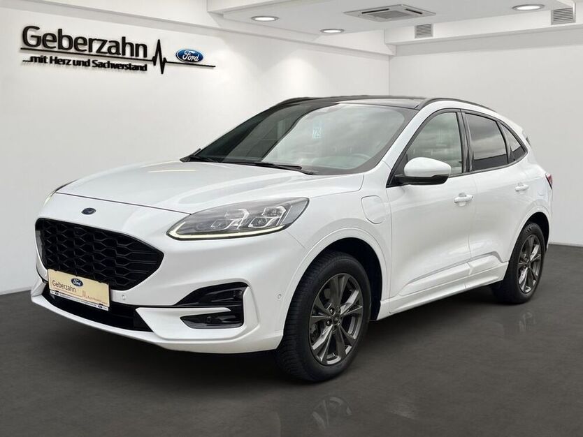 Kuga