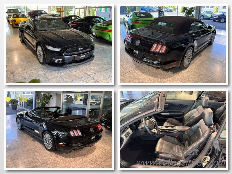 Mustang