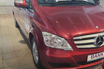 Mercedes Viano