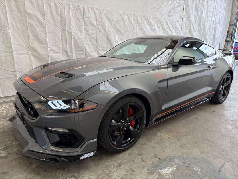 Mustang