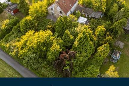 Grundstück zu verkaufen in Essen 420.000 € 1304 m²