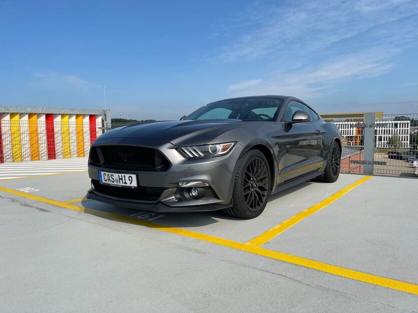 Mustang
