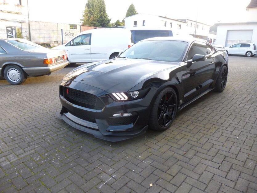 Mustang