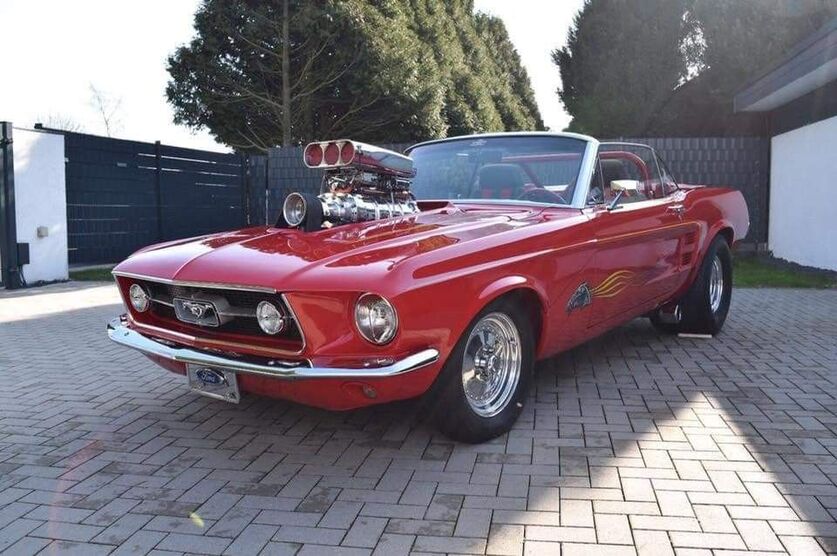 Mustang