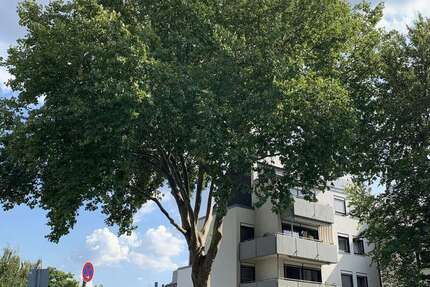 Wohnung Köln Weiden - 2.5 Zimmer, 92 m&sup2;, 1.656&euro; | Angebot:27033359