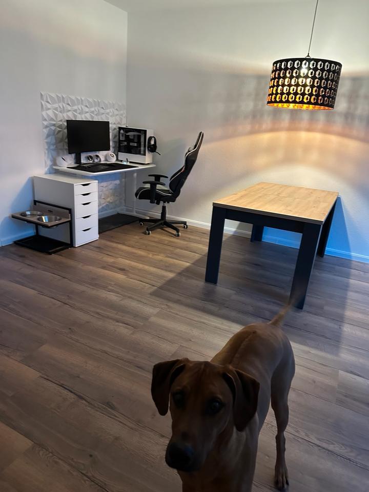 Schöne 3-Zimmer-Wohnung mit großem Balkon in Düsseldorf