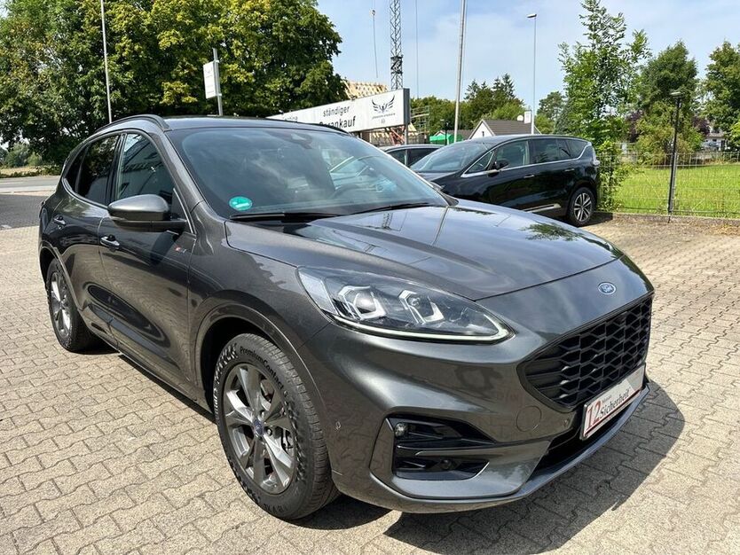 Kuga