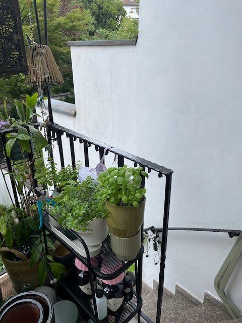 Rarität mit gr. Garten in D.-Oberkassel ! Renovierte 2-3 Z.-Wohnung in bester Lage v. D.-Oberkassel mit Garten - Einbauküche - Keller