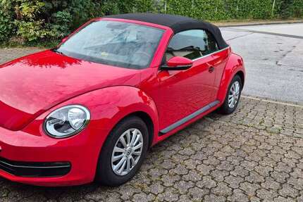 VW New Beetle
