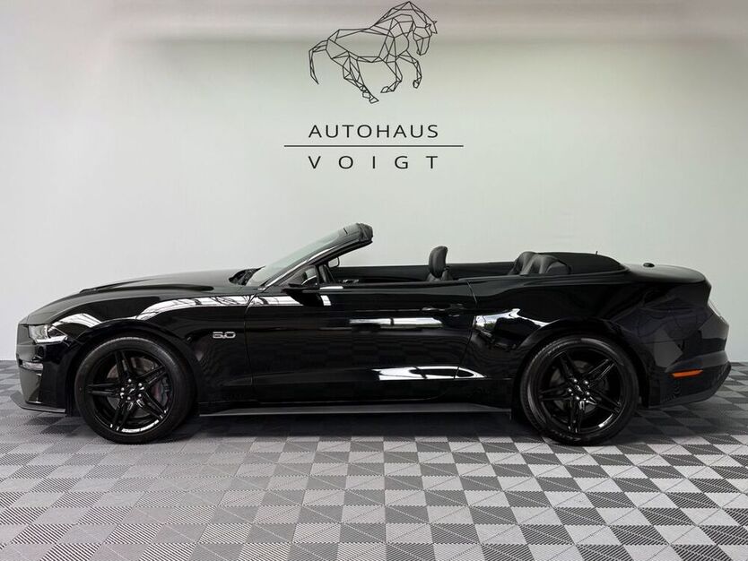 Mustang