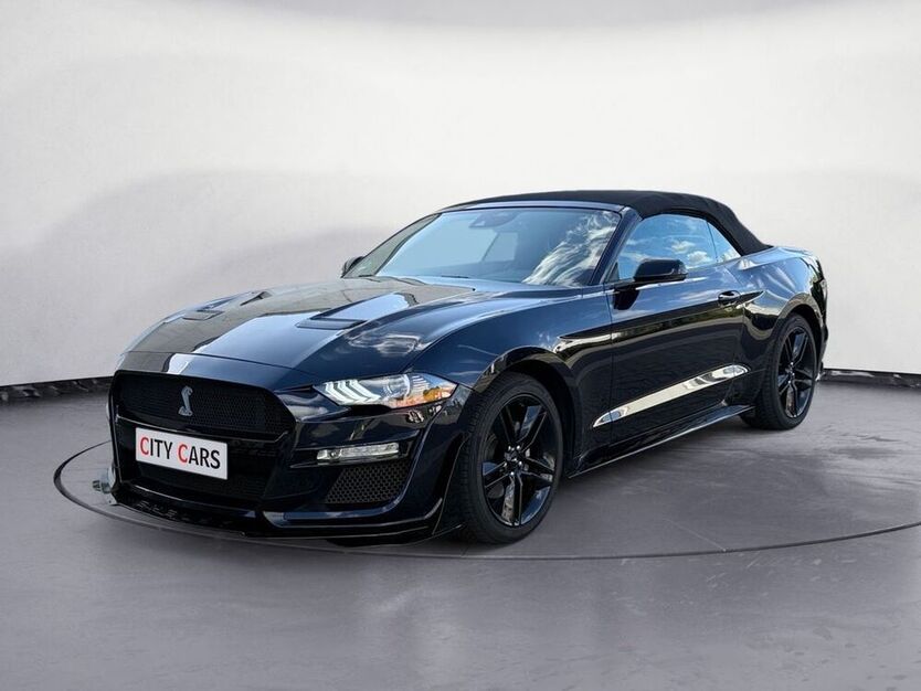 Mustang