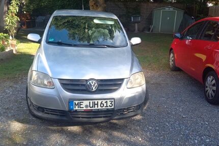 VW Fox