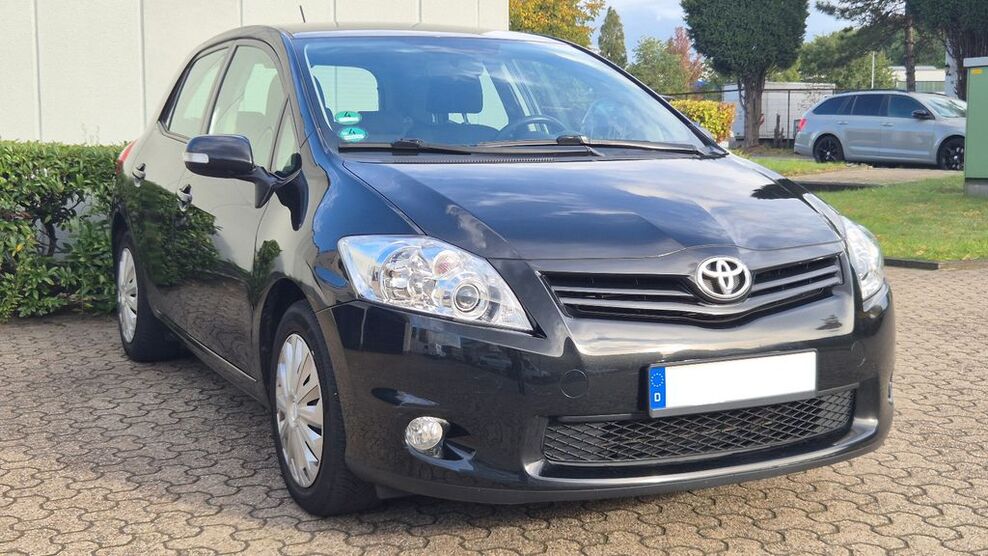Auris