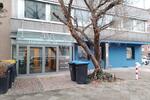 Erdgeschoßwohnung Düsseldorf Düsseltal - 4.5 Zimmer, 185 m&sup2;, 1.950&euro; | Angebot:27626434