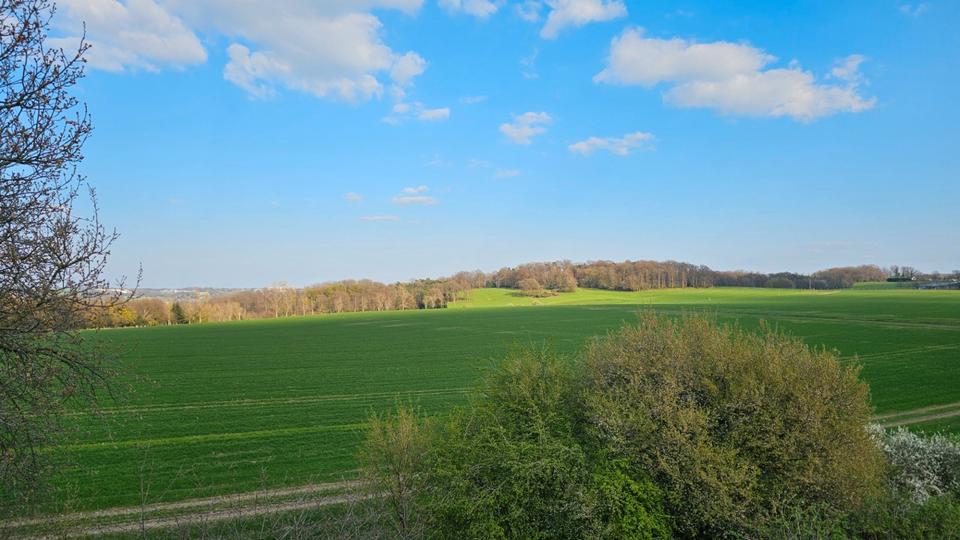 Dachgeschoßwohnung Ratingen Lintorf - 2 Zimmer, 72 m&sup2;, 690&euro; | Angebot:25981109