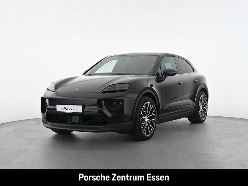 Macan