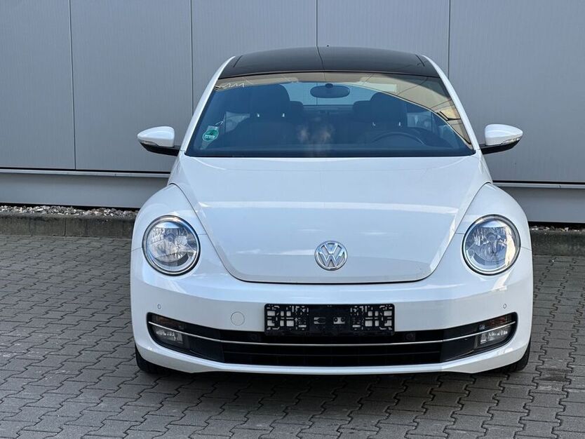 Beetle