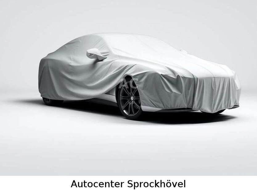 New Beetle