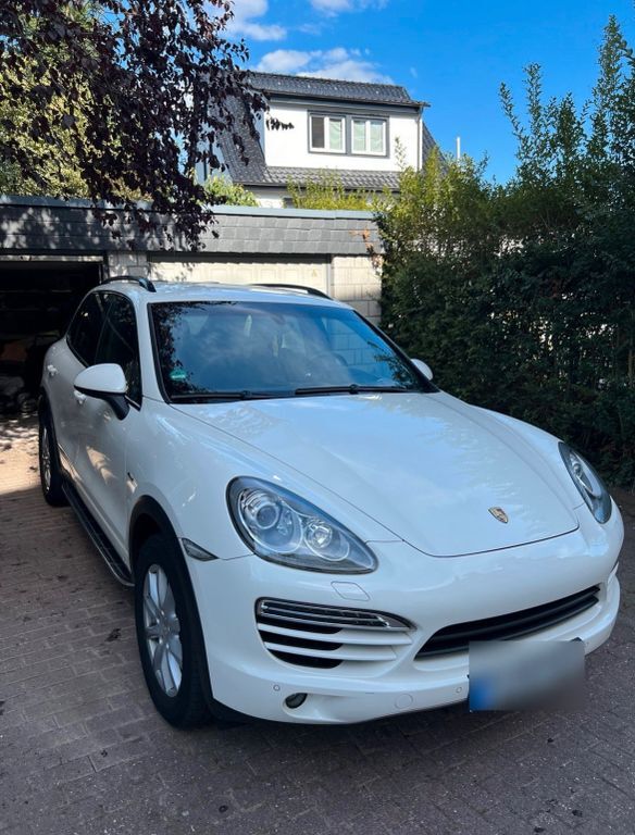 Cayenne