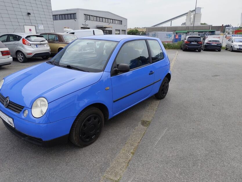 Lupo