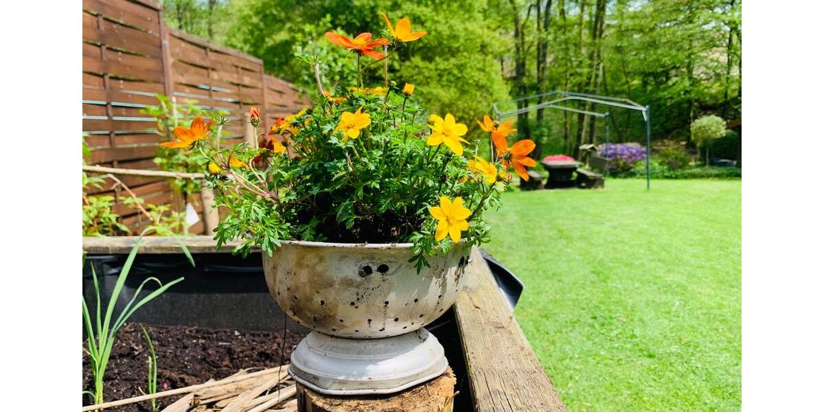 Einfamilienhaus Wipperfürth - 2.5 Zimmer, 67 m&sup2;, 86.000&euro; | Angebot:26025439