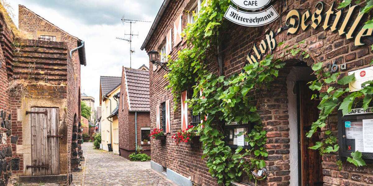 Gastronomie in Dormagen Feste Zons 1.350.000 € 800 m² zimmer