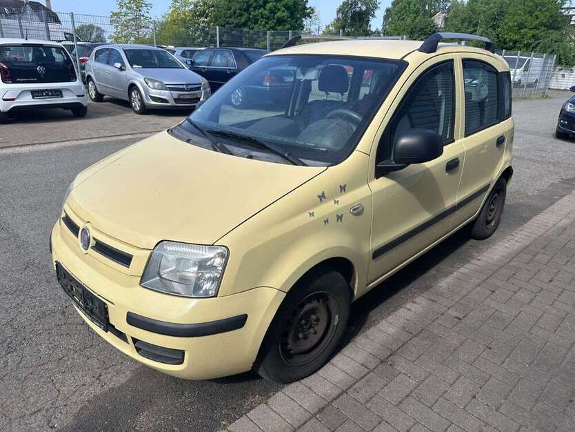 Panda