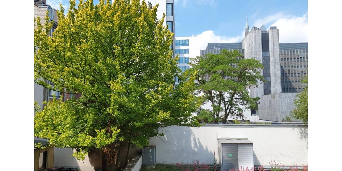 Etagenwohnung Düsseldorf Stadtbezirk 3 - 1 Zimmer, 48 m&sup2;, 239.000&euro; | Angebot:26705264