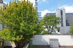 Etagenwohnung Düsseldorf Stadtbezirk 3 - 1 Zimmer, 48 m&sup2;, 239.000&euro; | Angebot:26705264