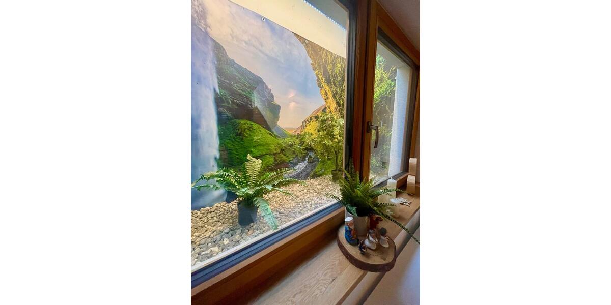 Einfamilienhaus Düsseldorf Stadtmitte - 4 Zimmer, 160 m&sup2;, 3.500&euro; | Angebot:24387574