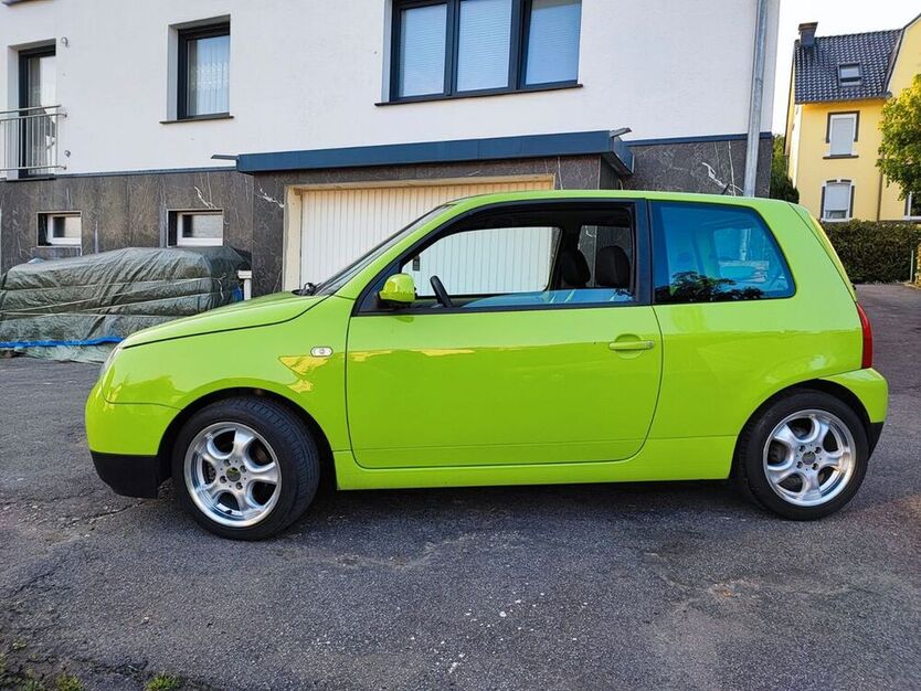 Lupo