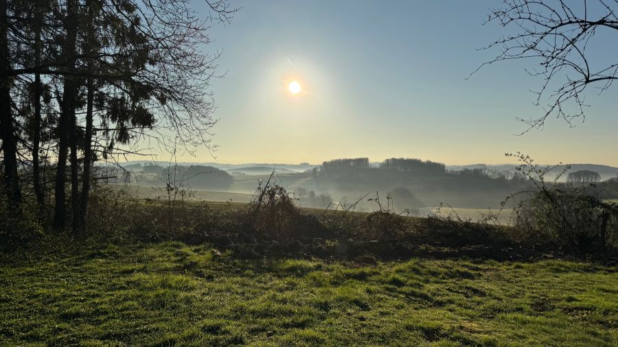Provisionsfrei* Exklusives Baugrundstück in Toplage - uneinsehbar, familienfreundlich & mit 40km-Fernblick - Grundstück Bergisch Gladbach Frankenforst | Angebot:22630584
