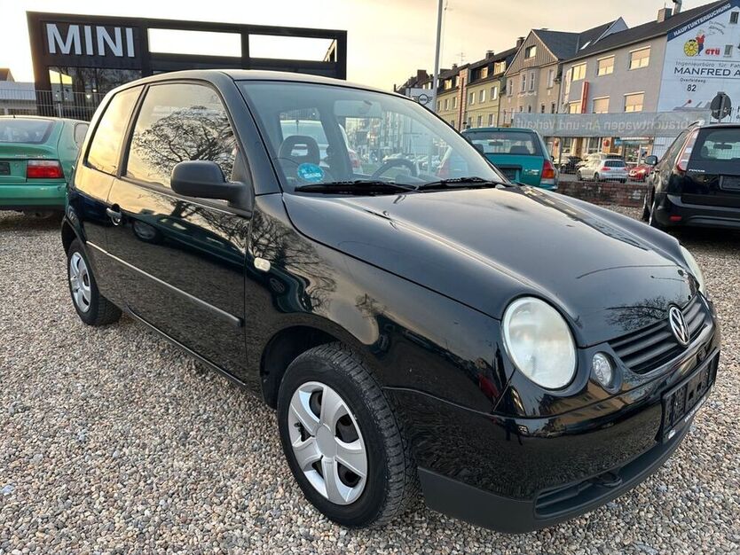 Lupo